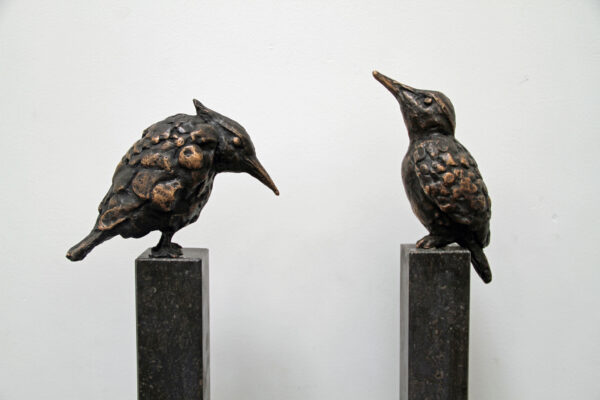 Twee Vogels